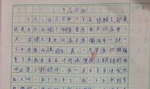 难忘的运动会作文250字