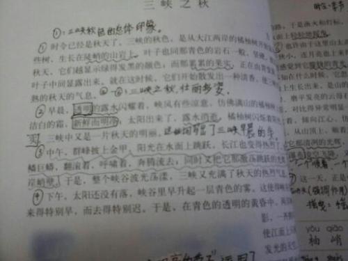 三峡旅行笔记组成