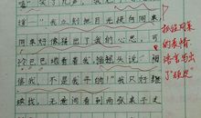 我的偶像作文600字