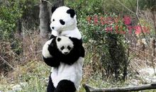 直击心灵的一瞬读后感