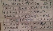 我的弟弟作文600字