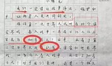 学雷锋活动作文