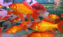 我改变了什么的色彩