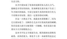 时间读后感300字作文