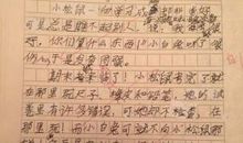 感受美好作文400字