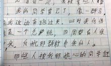 小学生作文我的同桌