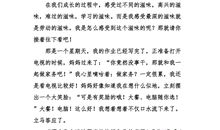 关于鸟的作文500字