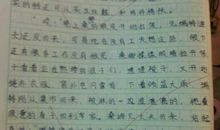 小学六年级日记大全