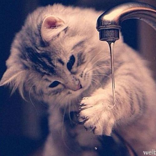 经常记得的人，他们可以走得更远