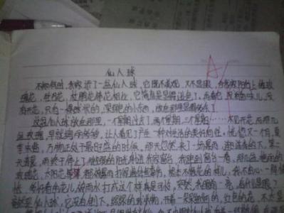 感受美丽的构图600字