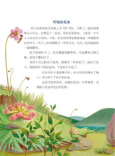 阅读600字后的森林报春花