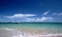 美丽的海滩作文