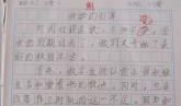 小学日记100字