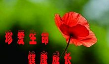 珍爱生命健康成长