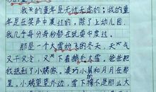 小学六年级日记300字