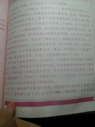 难忘的一天作文200字