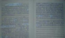 运动会趣事作文