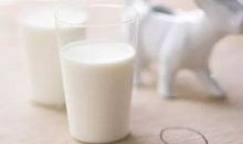 母亲的一杯热牛奶作文