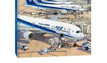 第一次坐飞机作文300字