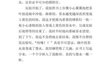 科学小实验作文