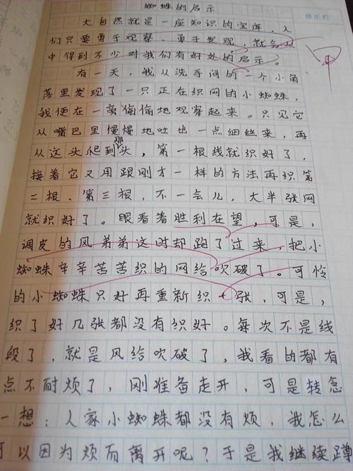 一件事感动500字