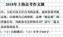2015年高考满分作文上海卷：坚硬的柔软
