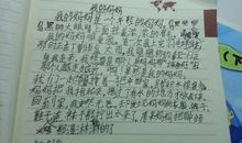 母亲节的礼物作文