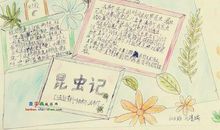 承教小记读后感