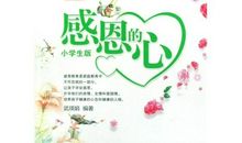 感恩的心读后感