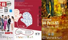 爱情三部曲读后感