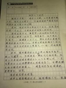 我最喜欢的人作文600字