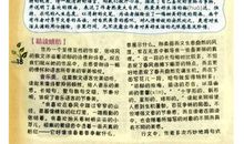 张晓风我喜欢读后感