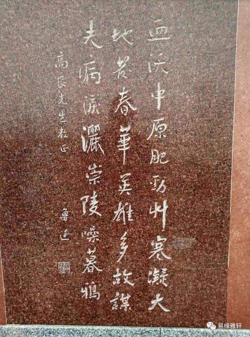 读鲁迅作品后的2000字