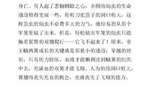 大自然的启示作文400字