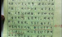 美丽的感动作文