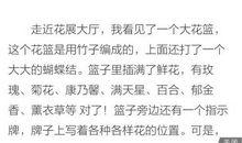 看花展作文300字