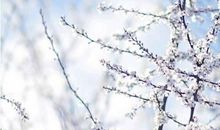 好心情经典语句