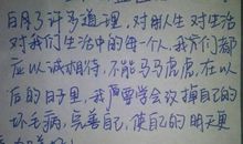 作文心愿500字