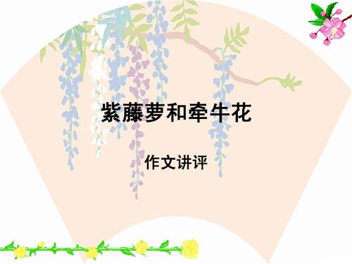 牵牛花作文200字
