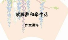 牵牛花作文200字