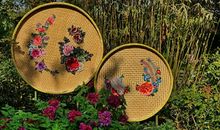 看花展作文500字