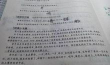 牵牛花的作文450字