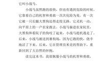 小战马读后感500字