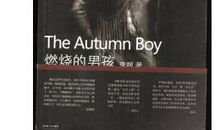 《燃烧的男孩》读后感