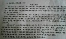 难忘友情读后感