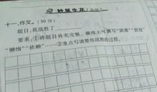 在挫折中成长作文