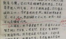 牵挂记叙文作文