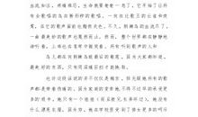 荆棘鸟读后感英文版