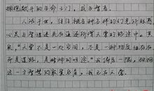 2015年高考满分作文江苏卷：大智若愚