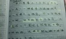 极地海洋世界的作文